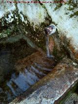 Fuente del Sotillo. Caño