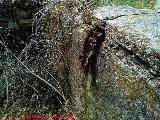 Fuente del Rincón. 