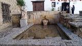 Fuente de la Plaza Sneca. 
