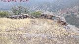 Trincheras del Cerro del Poblado de Confederación. Puesto de tiro
