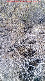 Trincheras del Cerro del Poblado de Confederación. 