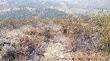 Trincheras del Cerro del Poblado de Confederación. Vistas