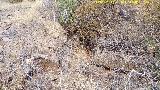Trincheras del Cerro del Poblado de Confederación. Arranque de la trinchera en un puesto de tiro
