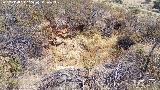 Trincheras del Cerro del Poblado de Confederación. Puesto de mando