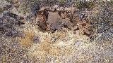 Trincheras del Cerro del Poblado de Confederación. Puesto de mando