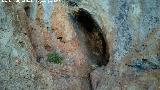 Peñas Rubias. Abrigo