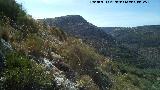 Loma de las Chozuelas. Ladera sur hacia Cuevas Terrizas