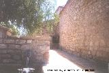 Ermita de San Cosme y San Damián. Lateral
