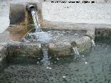Fuente de San Roque. Caño