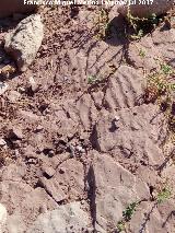 Ondulitas del Guadalén I. 