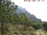 Aznaitín. Ladera norte del Aznaitín de Jimena