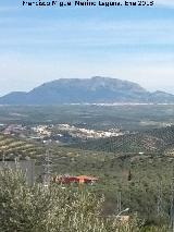 Aznaitín. 