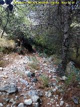 Aznaitín. Camino de las Cuevas del Curro