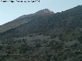Monteagudo. Desde el Abrigo I del Tío Serafín