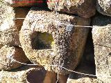 Restos romanos de Los Charcones. 