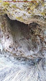 Yacimiento de Troncos fósiles del Tercero. Corteza