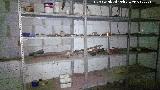Pozo Siles. Estanterías del laboratorio