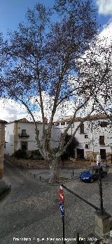 Calle Prior Monteagudo. 