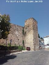 Puerta del Losal. Torreón