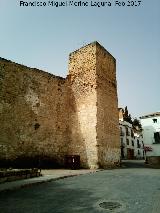 Puerta del Losal. Torreón