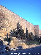 Alcázar. 