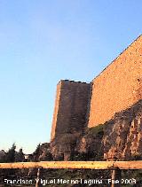 Torreón de Saludeja V. 