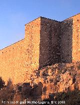 Torreón de Saludeja V. 
