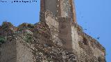 Castillo de Monteagudo. 