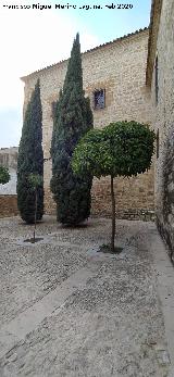 Colegiata de Santa Mar�a de los Reales Alc�zares. Parte trasera