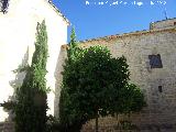 Colegiata de Santa María de los Reales Alcázares. Parte trasera
