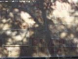 Colegiata de Santa María de los Reales Alcázares. Vítor