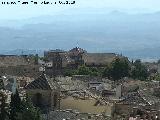 Colegiata de Santa María de los Reales Alcázares. Desde la Torre del Reloj
