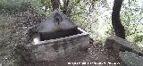 Fuente de la Bellota. 
