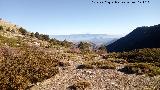Collado del Puerto. Hacia el Barranco del Gargantn