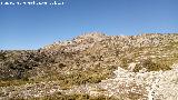 Collado del Puerto. Vistas hacia el Mgina