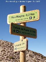 Collado del Puerto. Cartel