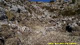 Chozas de Covatillas. Aprisco pequeo