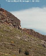 Muralla de Jaén. Torreón Sur III. 