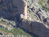 Muralla de Jaén. Torreón Sur III. 