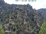 Cañon de Pitillos. 