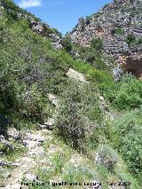 Cañon de Pitillos. Sendero