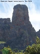 Piedra del Palo. 