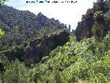 Caballos de Ajedrez. Desde el Cañon de Pitillos
