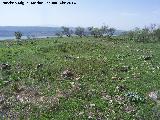 Oppidum de Giribaile. Construcción circular