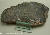 Oppidum de Giribaile. Inscripción ibérica. Museo Arqueológico de Jaén