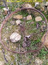 Caracol Herido. Rueda de bicicleta antigua