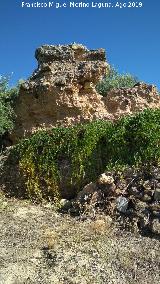 Castillo de Mogón. 