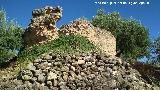 Castillo de Mogón. 