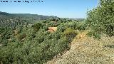 Castillo de Mogón. Monte del castillo