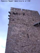 Castillo de La Moraleja. Matacanes del torreón menor